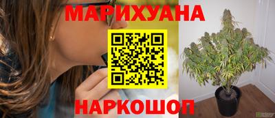 каннабис Лесосибирск