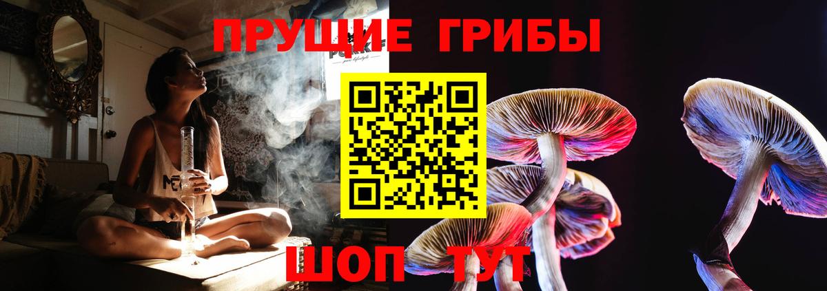 Псилоцибиновые грибы прущие грибы Будённовск